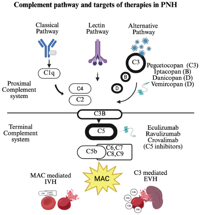 The Advancing Landscape of Paroxysmal Nocturnal Hemoglobinuria Treatment