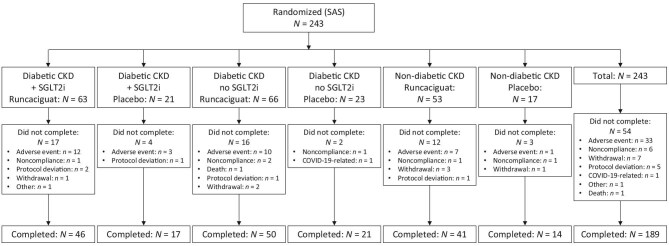 The soluble guanylate cyclase activator runcaciguat significantly improves albuminuria in patients with chronic kidney disease: a randomized placebo-controlled clinical trial.