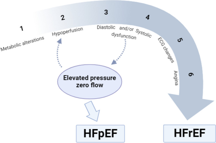 Focusing on microvascular function in heart failure with preserved ejection fraction.
