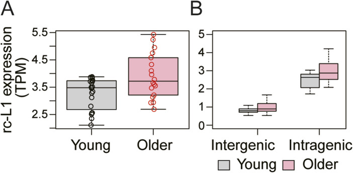 MORE-RNAseq: a pipeline for quantifying retrotransposition-capable LINE1 expression based on RNA-seq data.