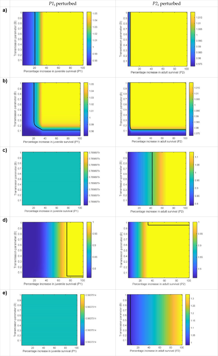 Cultural processes and demography: implications for conservation and beyond.