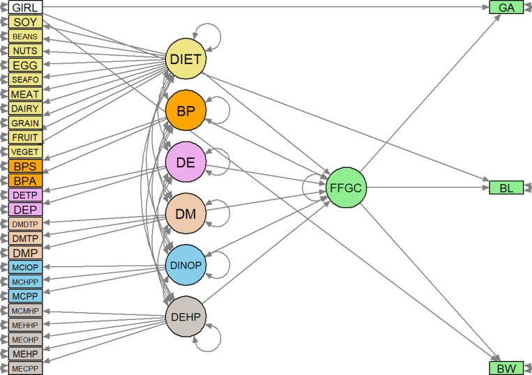 Effects of chemical exposures and diet on birth outcomes in a New York City pregnancy cohort: Mediation through favorable fetal growth conditions.