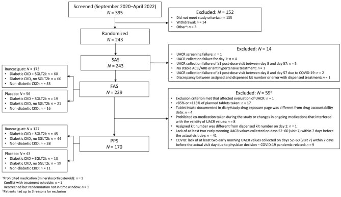 The soluble guanylate cyclase activator runcaciguat significantly improves albuminuria in patients with chronic kidney disease: a randomized placebo-controlled clinical trial.