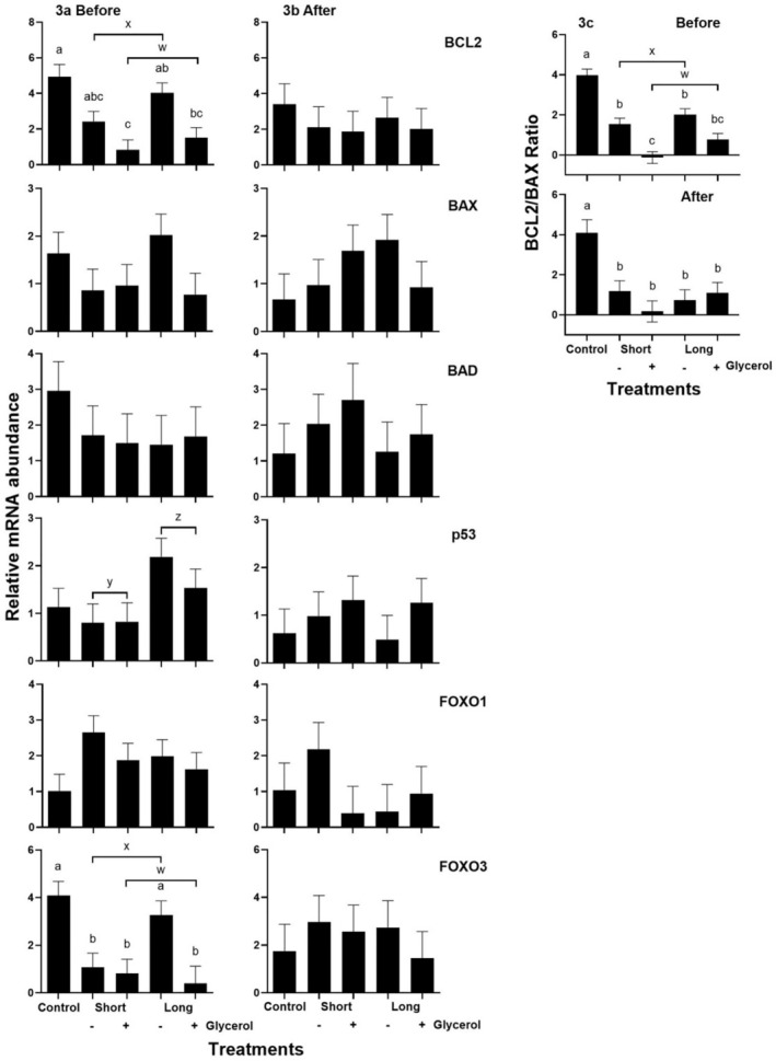 Glycerol Supplementation During Oestrus Synchronisation With Fluorogestone Acetate Affects Follicular Proliferation, Maturation and Apoptosis of Granulosa Cells in Pelibuey Ewes.