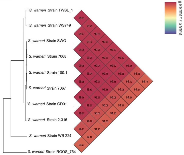 Multi-metal-resistant Staphylococcus warneri strain TWSL_1: revealing heavy metal-resistant genomic features by whole-genome sequencing and analysis.