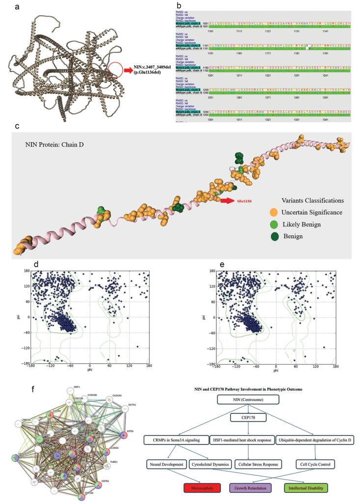 Expanding the Clinical Phenotype Associated with the <i>NIN</i> Gene; Report of a Patient with Short Stature, Microcephaly and Hearing Loss.
