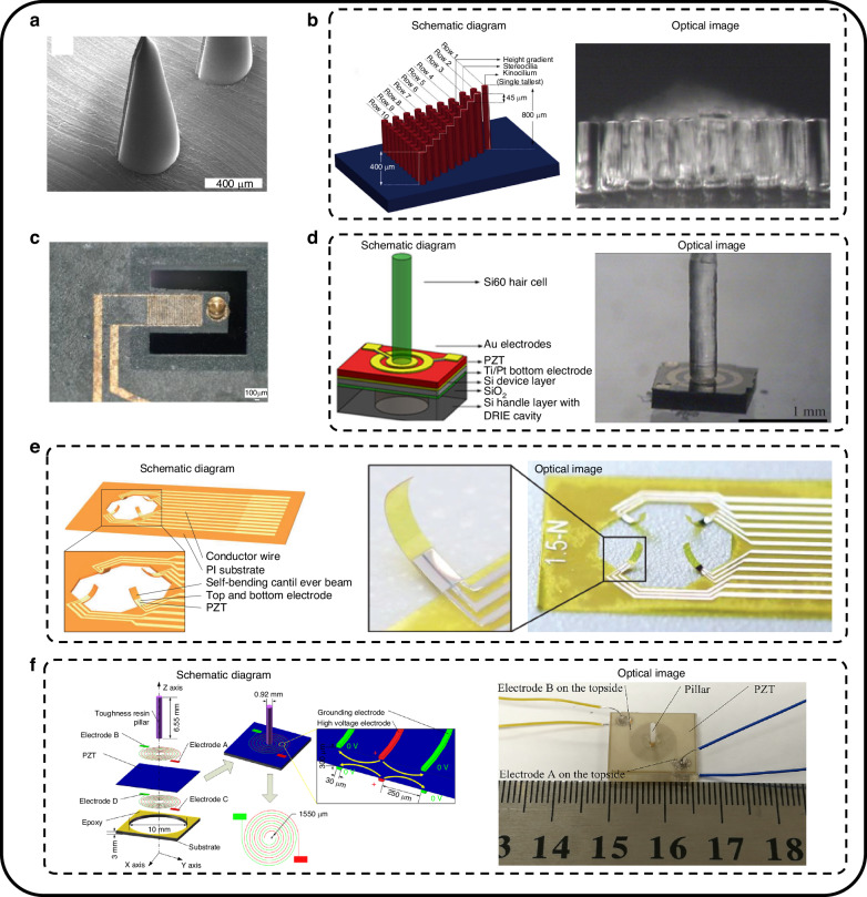 Bio-inspired artificial hair flow sensors: a comprehensive review of design, fabrication, enhancements, and applications.