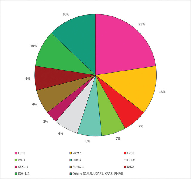 Outcomes of patients with Acute Myeloid Leukemia receiving venetoclax in combination with azacitidine: A single center retrospective study from Pakistan.