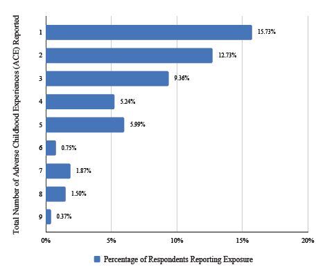 Exposure to Community Violence and Adverse Childhood Experiences in the Emergency Department.