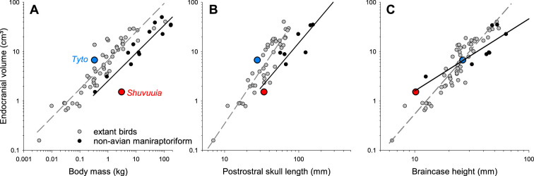 When dinosaurs hear like barn owls: pitfalls and caveats in assessing hearing in dinosaurs.