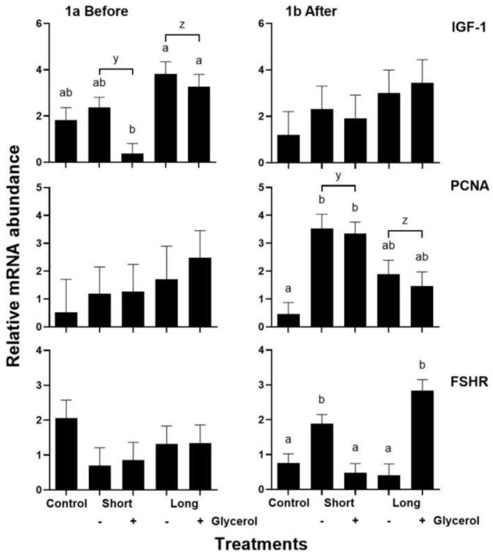 Glycerol Supplementation During Oestrus Synchronisation With Fluorogestone Acetate Affects Follicular Proliferation, Maturation and Apoptosis of Granulosa Cells in Pelibuey Ewes.