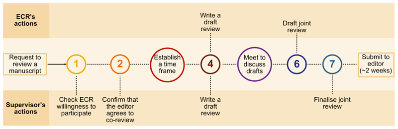 The value of joint peer review between early career researchers and supervisors.