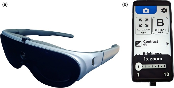 'Such a lot of bother': Qualitative results of a home trial of a wearable electronic vision enhancement system for people with age-related macular degeneration.