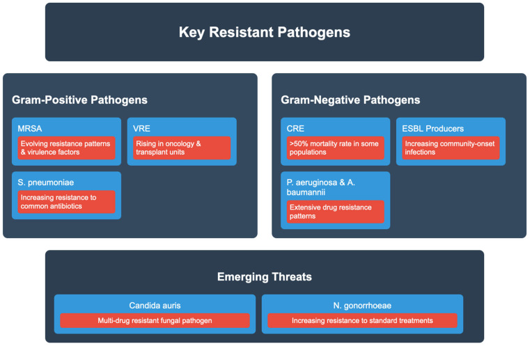 The Global Burden of Multidrug-Resistant Bacteria.