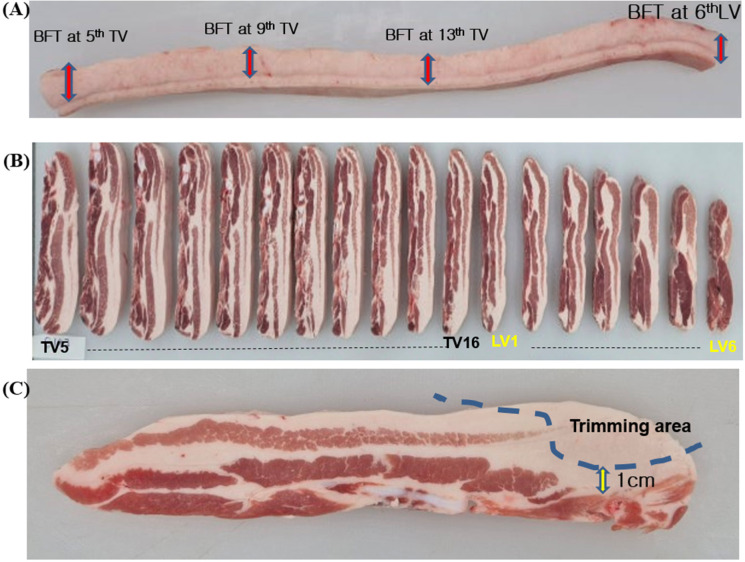 Fat Level and Excessive Fat Percentage of Retail-Ready Pork Belly Slices by Quality Grade.
