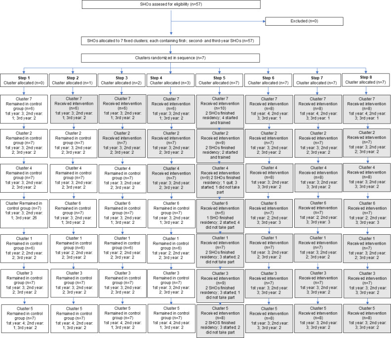 Mono-Professional Simulation-Based Obstetric Training in a Low-Resource Setting: Stepped-Wedge Cluster Randomized Trial.