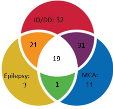 The diagnostic yield of molecular karyotyping: a retrospective single-center study.
