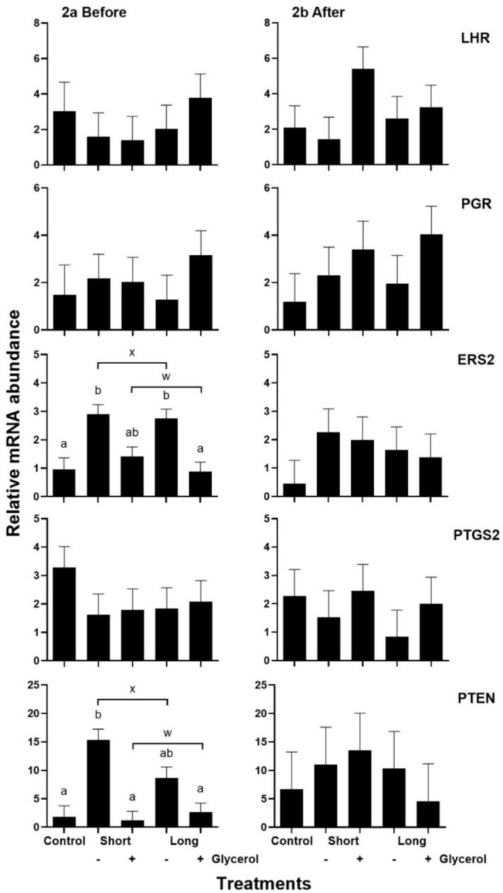 Glycerol Supplementation During Oestrus Synchronisation With Fluorogestone Acetate Affects Follicular Proliferation, Maturation and Apoptosis of Granulosa Cells in Pelibuey Ewes.