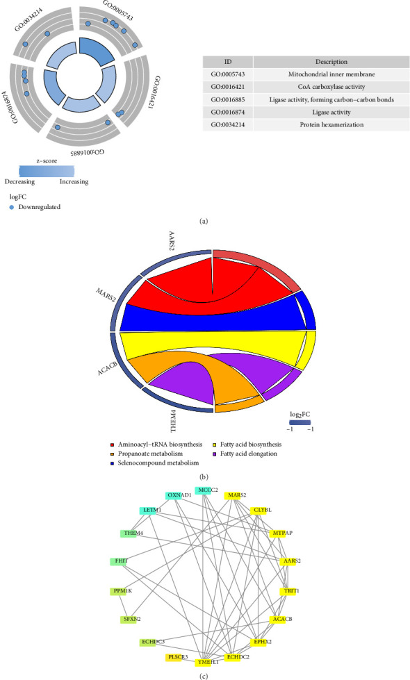 Identification and Experimental Validation of Biomarkers Associated With Mitochondria and Macrophage Polarization in Sepsis.