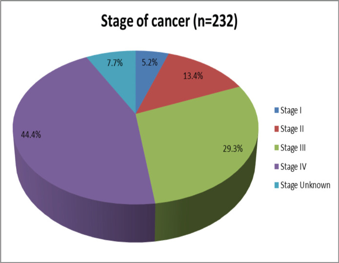 Patterns of cancer in Needle Hospital, Hargeisa, Somaliland from July 2022 to June 2023.