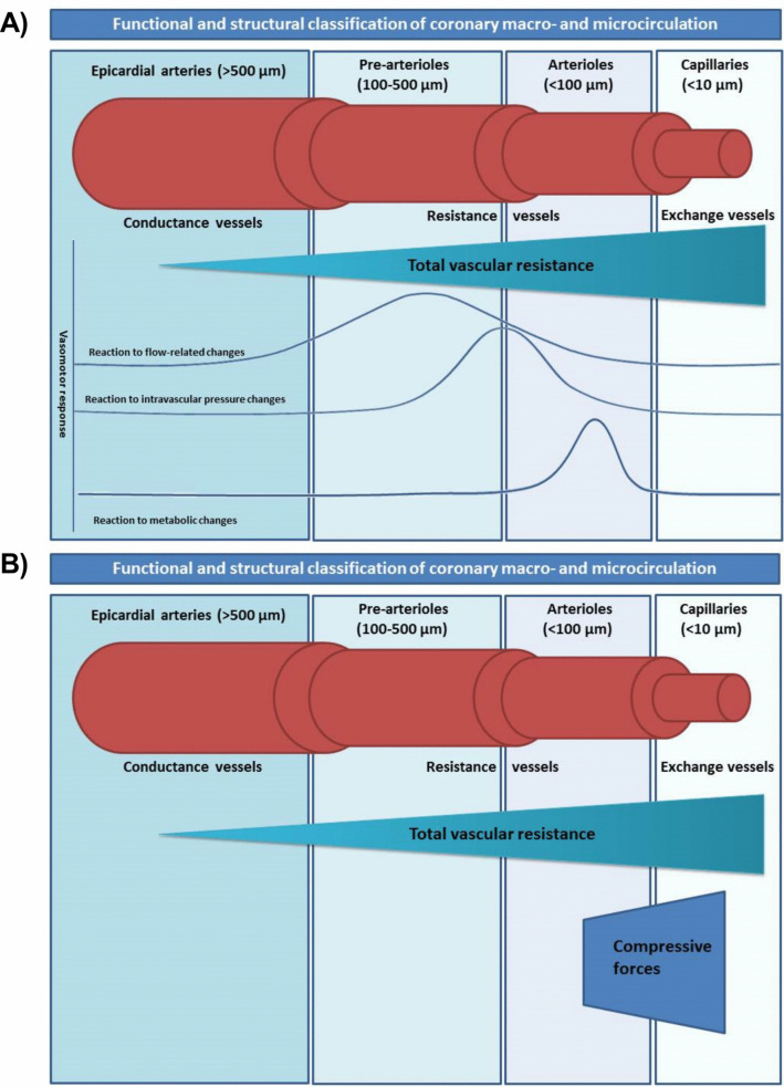 Focusing on microvascular function in heart failure with preserved ejection fraction.