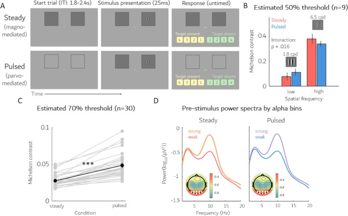 Selective Effects of Ongoing Alpha-Band Activity on Magno- and Parvo-Mediated Detection.