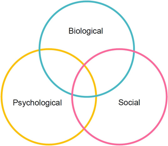 Anxiety disorders presenting as gastrointestinal symptoms in children - a scoping review.