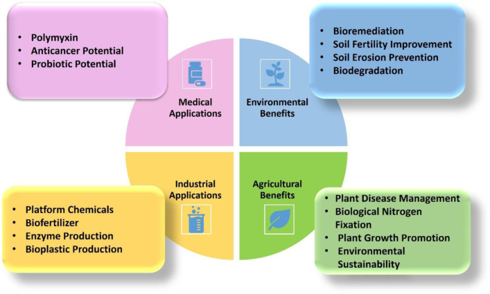 Advancing sustainable practices with <i>Paenibacillus polymyxa</i>: From soil health to medical applications and molecular engineering.