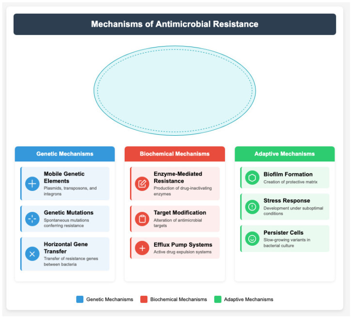 The Global Burden of Multidrug-Resistant Bacteria.