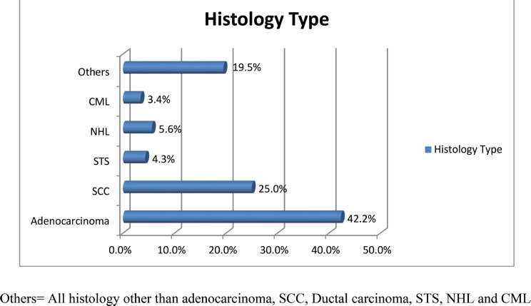Patterns of cancer in Needle Hospital, Hargeisa, Somaliland from July 2022 to June 2023.