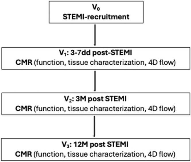 Left ventricular flow kinetics and myocardial deformation following acute infarction: Additional predictive value of cardiac magnetic resonance four-dimensional flow for left ventricular remodeling post-ST-elevation myocardial infarction.