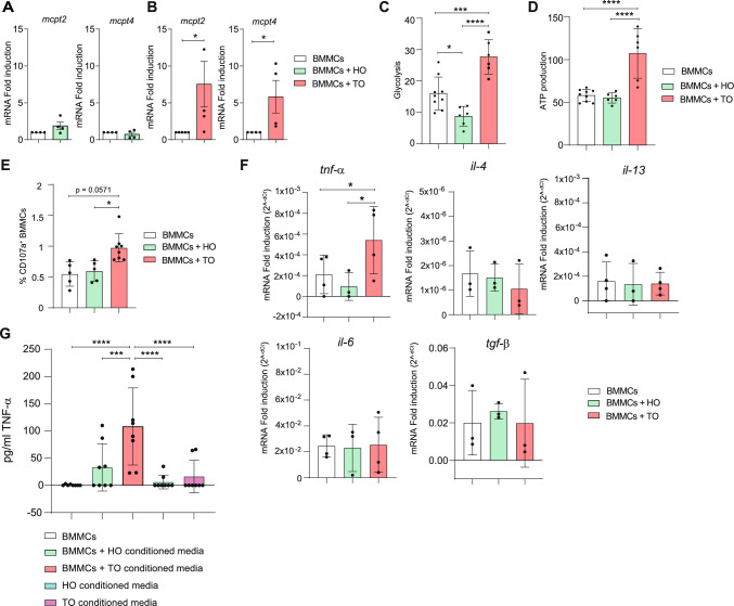 Mast cells-intestinal cancer cells crosstalk is mediated by TNF-alpha and sustained by the IL-33/ST2 axis.