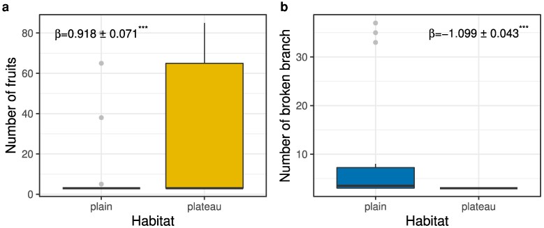 Biotic pressure outweighs the influence of resource availability on physical defence investment in a tropical tree.