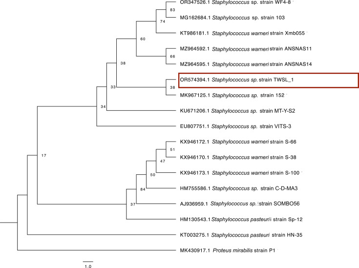 Multi-metal-resistant Staphylococcus warneri strain TWSL_1: revealing heavy metal-resistant genomic features by whole-genome sequencing and analysis.