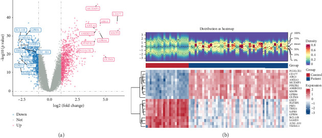Identification and Experimental Validation of Biomarkers Associated With Mitochondria and Macrophage Polarization in Sepsis.