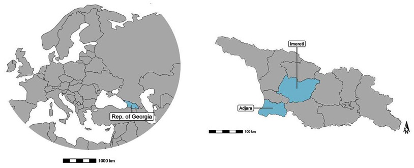 Blood Lead Levels in Children 5 to 7 Years of Age from the Republic of Georgia: A Feasibility Study on Lead Surveillance Using Volumetric Absorptive Microsampling.