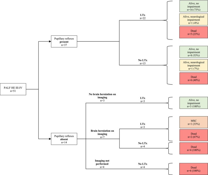 Absence of Pupillary Reflexes in Pediatric Acute Liver Failure and Neurological Outcome After Liver Transplantation.