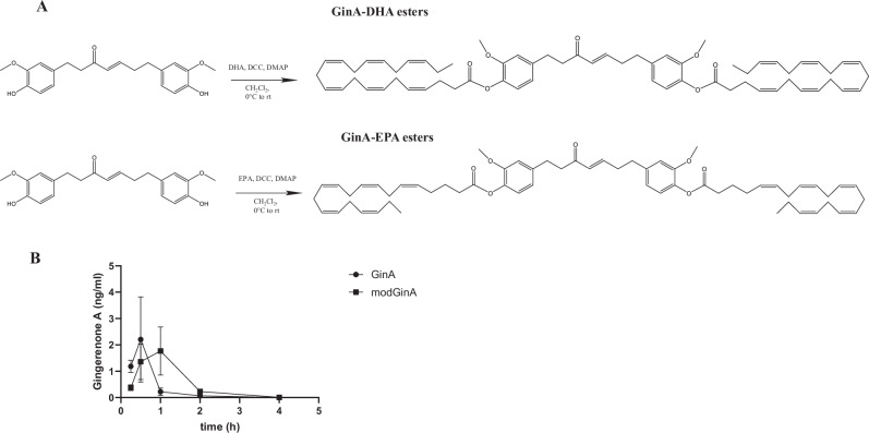 Senolytic effects of a modified Gingerenone A.