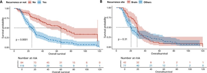 Real-World Analysis of Treatment Patterns in Limited-Stage Small Cell Lung Cancer: Implications for Clinical Practice.