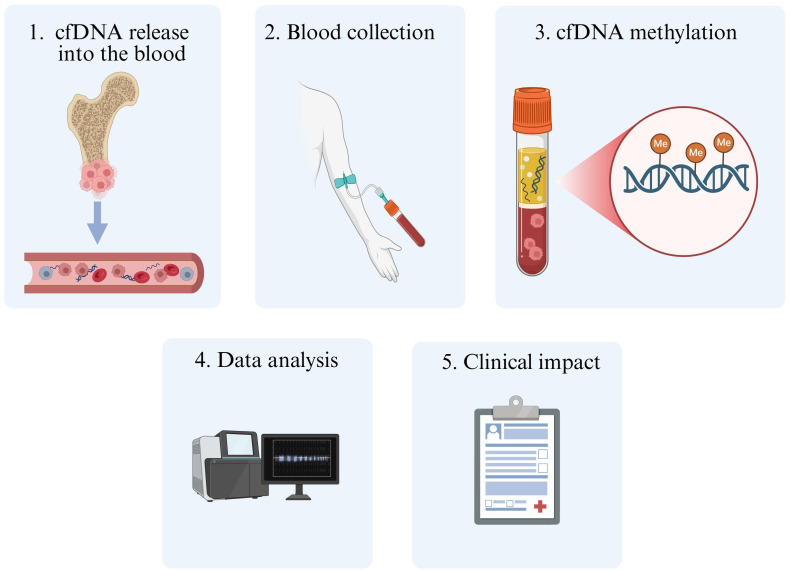 The DNA methylation landscape of musculoskeletal sarcomas.