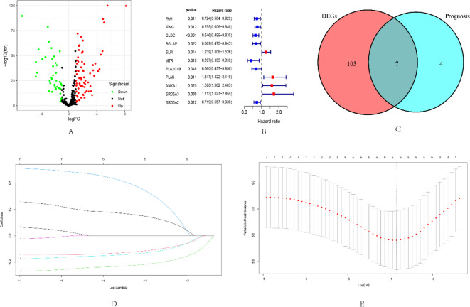 Machine learning identifies SRD5A3 as a propionate-related prognostic biomarker in triple-negative breast cancer.