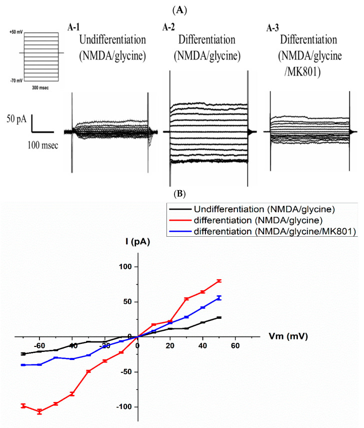 Functional Expression of NMDA Receptors in SH-SY5Y Neuroblastoma Cells Following Long-Term RA/BDNF-Induced Differentiation.