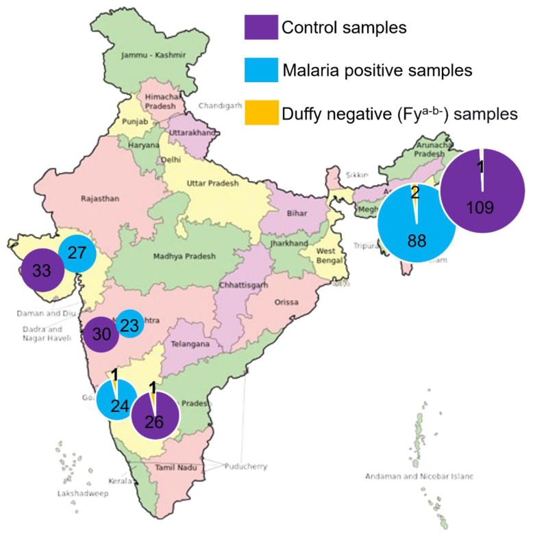 <i>Plasmodium vivax</i> Infections in Duffy-Negative Individuals: A Paradigm Shift in Indian Malaria Epidemiology.