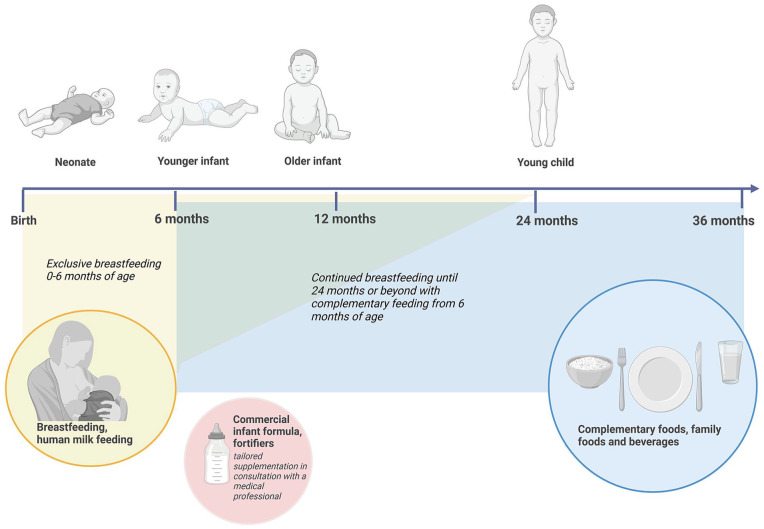 Breastfeeding Measurement-What Does It Mean to "Wean?"