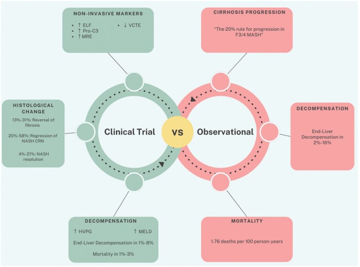 Liver cirrhosis in metabolic dysfunction-associated steatohepatitis.
