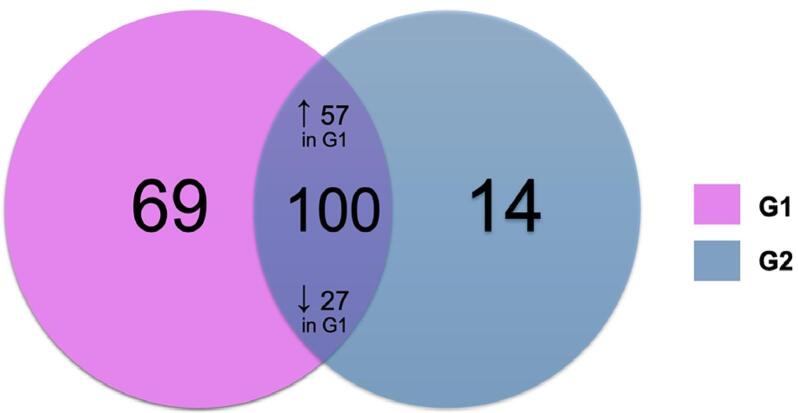 Generalized gingivitis-related salivary proteomic profile in pregnant women with obesity: insights into biological mechanisms assessed by Tandem Mass Spectrometry.