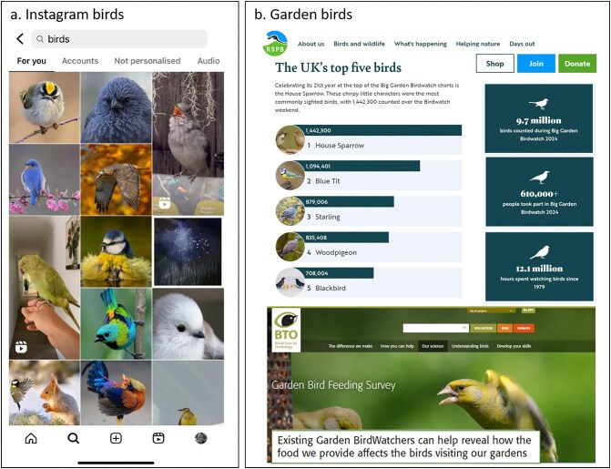 Birdwatching in the digital age: how technologies shape relationships to birds.