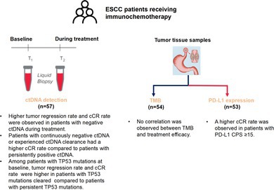 Circulating Tumor DNA Dynamic Changes in Esophageal Squamous Cell Carcinoma Receiving Immunochemotherapy.