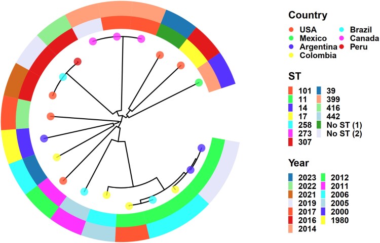 Detection of rare β-lactamase <i>bla</i> <sub>SCO-1</sub> from a <i>Klebsiella pneumoniae</i> high-risk clone in Peru.