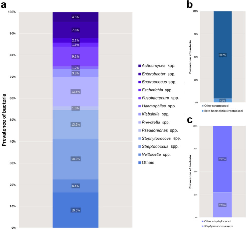 Enterobacterales abundance in oral cancer patients and elevated clindamycin resistance rates in head and neck infections at a Hungarian Tertiary Hospital.